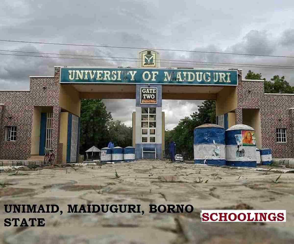 UNIMAID Accredited Courses