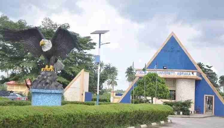 DELSU Postgraduate Admission Application Form