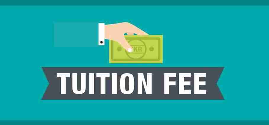 NUBA Poly School Fees