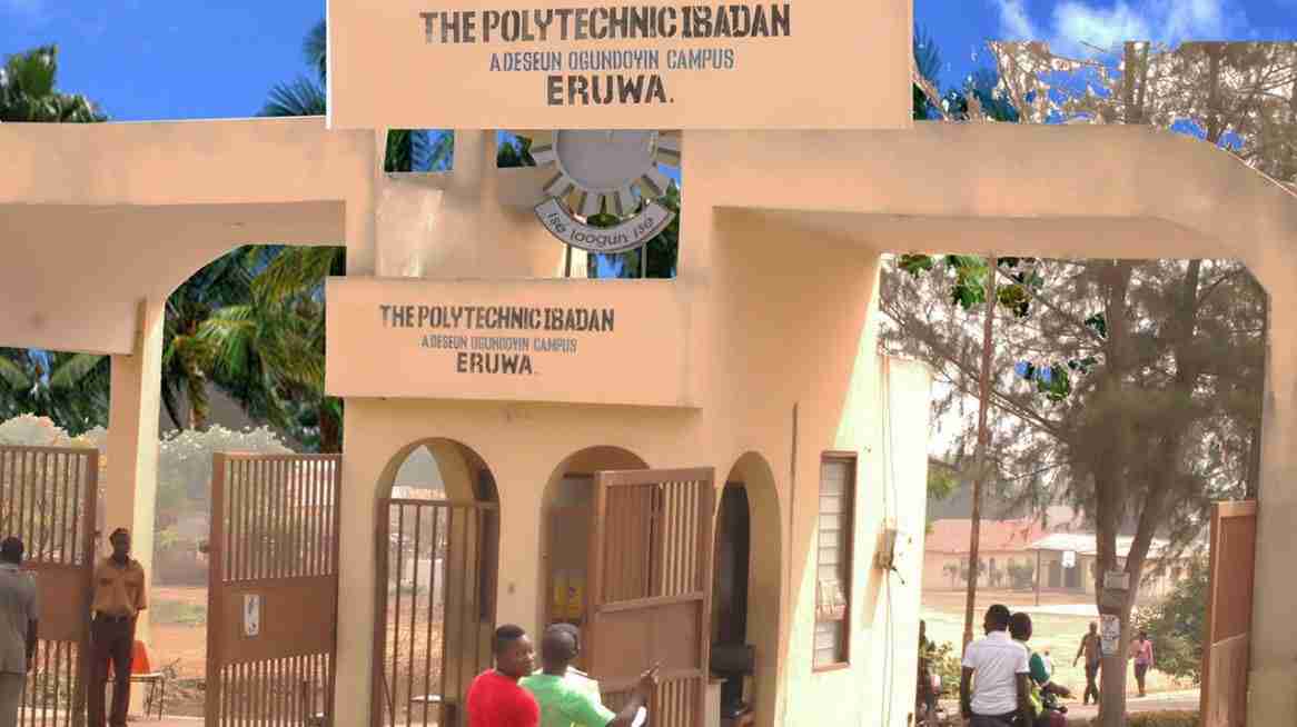 Ibara Poly Accredited Courses