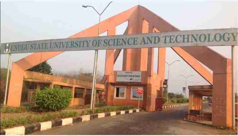 ESUT Postgraduate School Fees For Fresh Students
