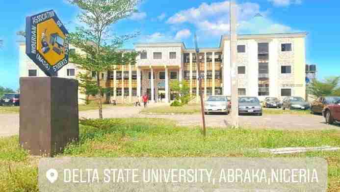 How To Check DELSU Post UTME Result