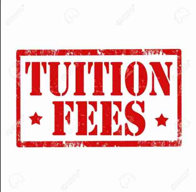 Ronik polytechnic School Fees