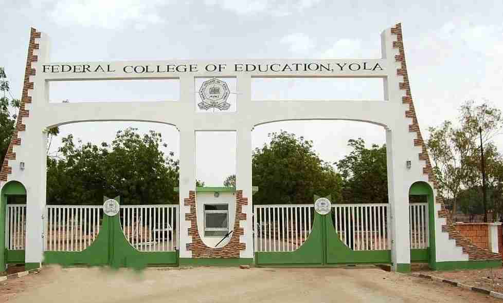 FCE Yola School Fees