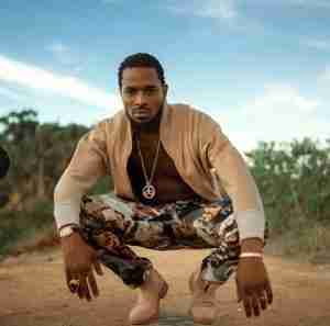 Top 20 richest artistes in Nigeria