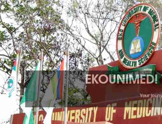 EKOUNIMED courses