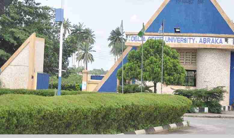 How to Calculate DELSU Aggregate Score