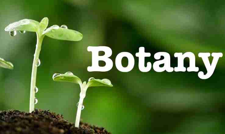 Admission Requirements For Studying Botany In Nigeria