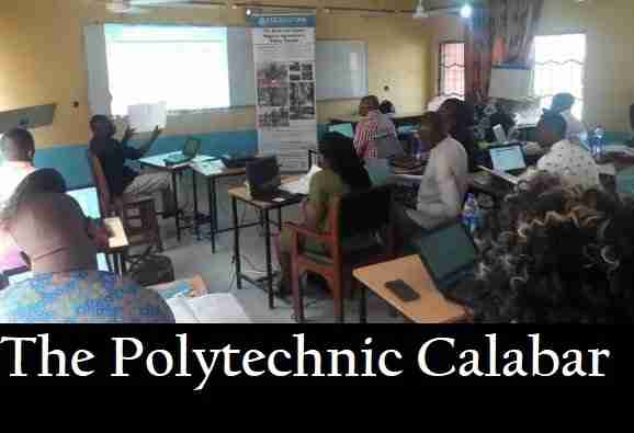 how to calculate polytechnic index score