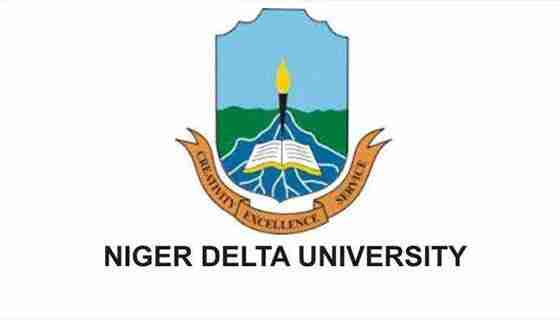 NDU Postgraduate Form For Masters PGD and PHD