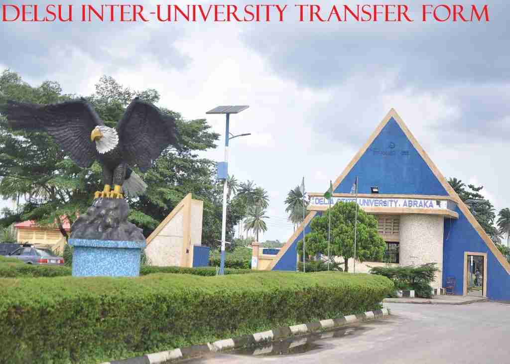 DELSU INTER UNIVERSITY TRANSFER FORM