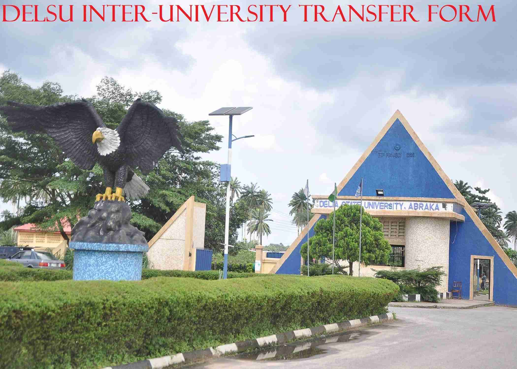 DELSU INTER UNIVERSITY TRANSFER FORM
