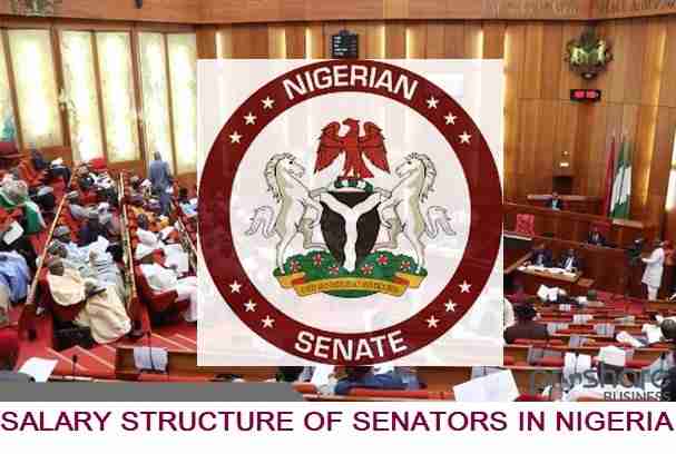 Salary Structure of Senators In Nigeria