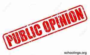 what is public opinion
