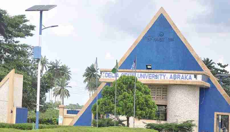 DELSU Part time Courses