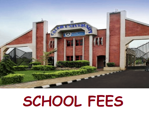 Caleb University PG school Fees
