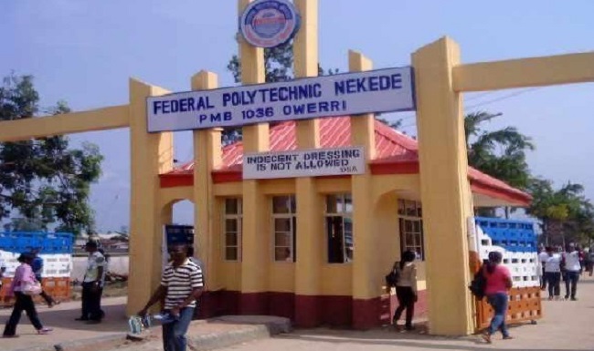 Courses offered in FPNO