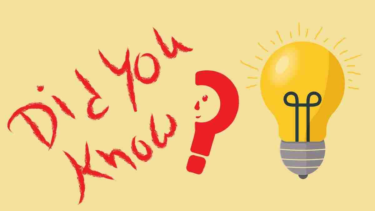 Did You Know Facts About Marriage scaled