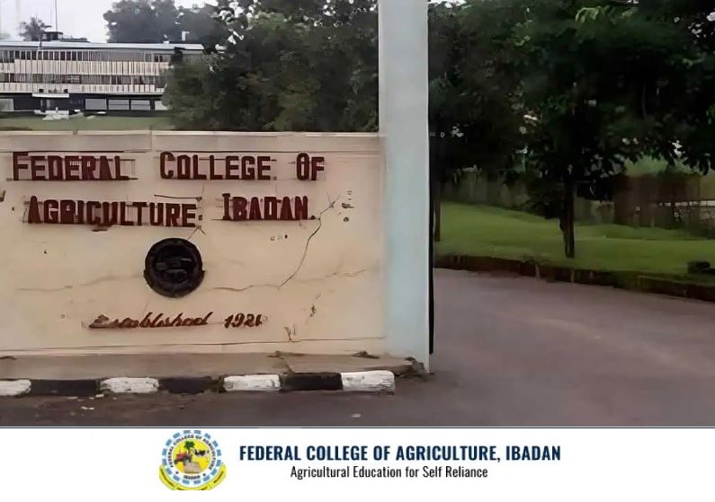 FCAIB School Fees for Freshers