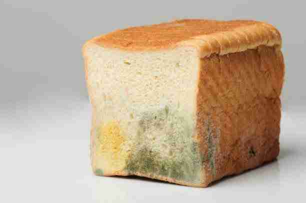 Food Borne Diseases