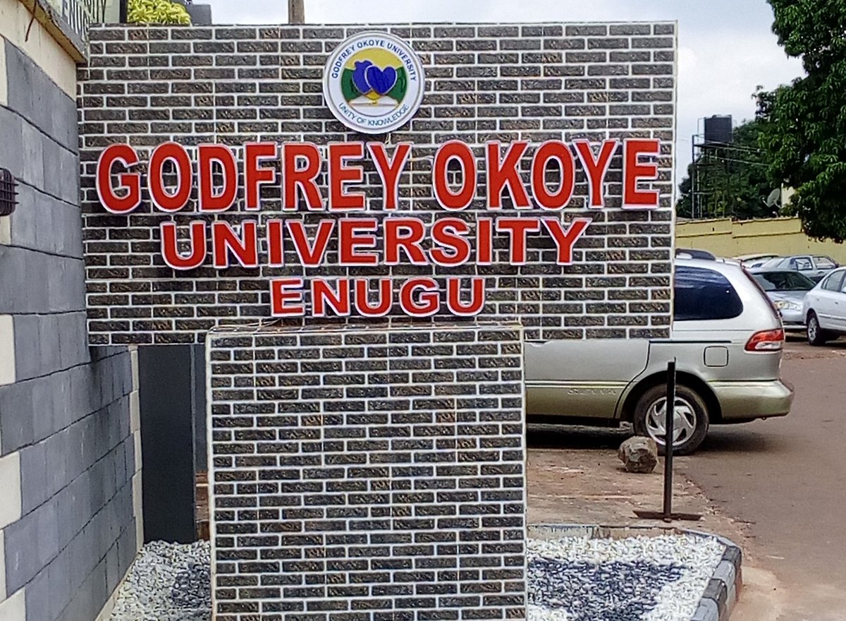 GOUNI School Fees