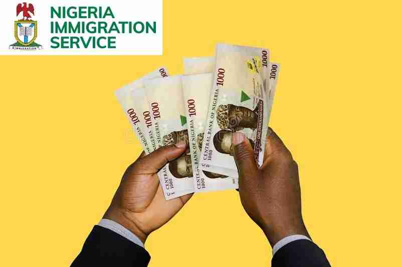 nigeria-immigration-service-nis-monthly-salary-structure-for-all