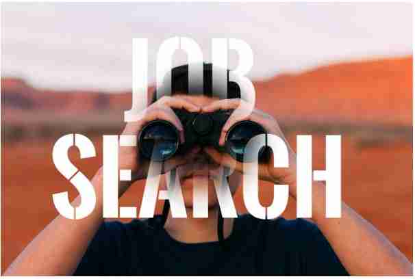 Job Search