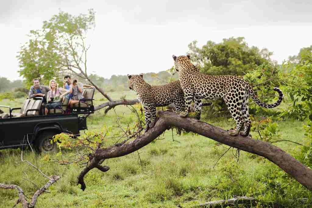 Kruger National Park South Africa