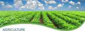 List of Schools In Nigeria Offering Agriculture