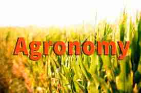 List of Schools In Nigeria Offering Agronomy