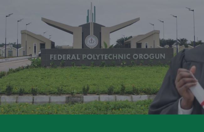 List of courses offered In FEPO
