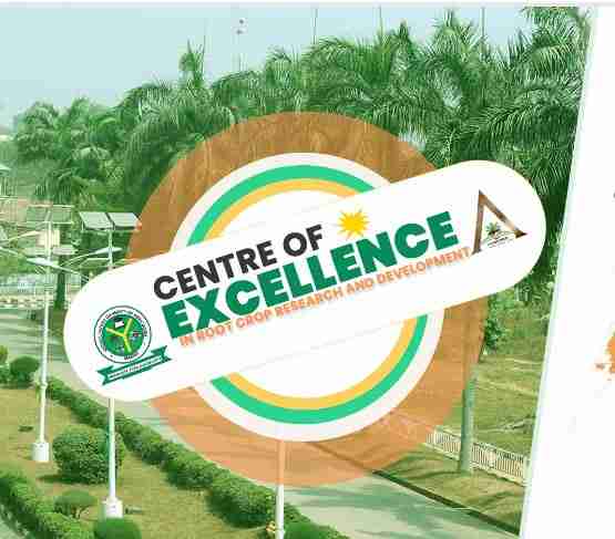 MOUAU Specialized Programmes