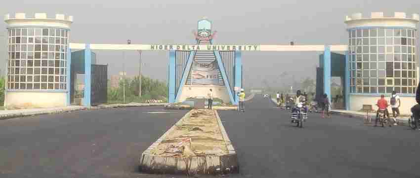 Niger Delta University