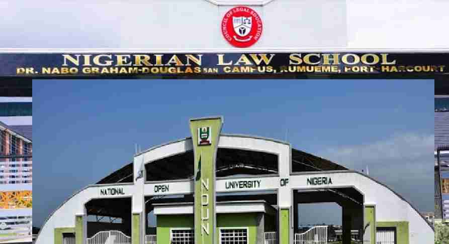 NLS NOUN Special Remedial Course Form