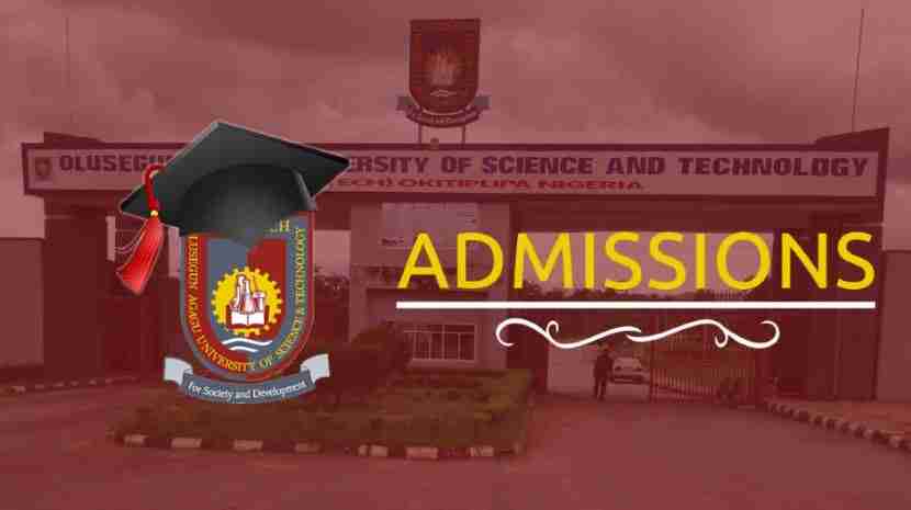 OAUSTECH Postgraduate Form