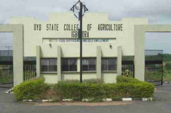 OYSCATECH