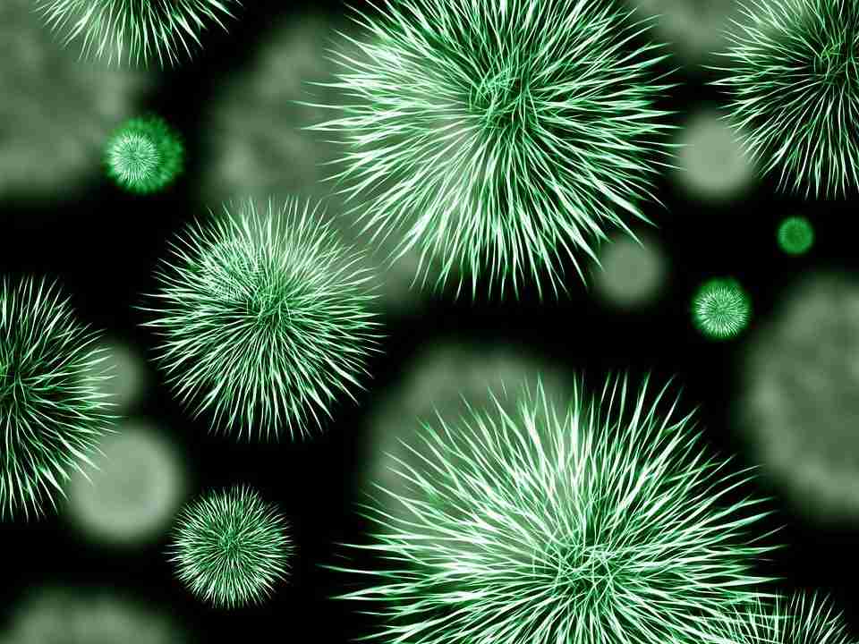 Pathogens Diseases