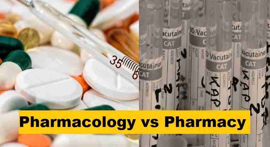 Pharmacology Vs Pharmacy