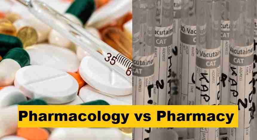 phd pharmacy vs pharmd