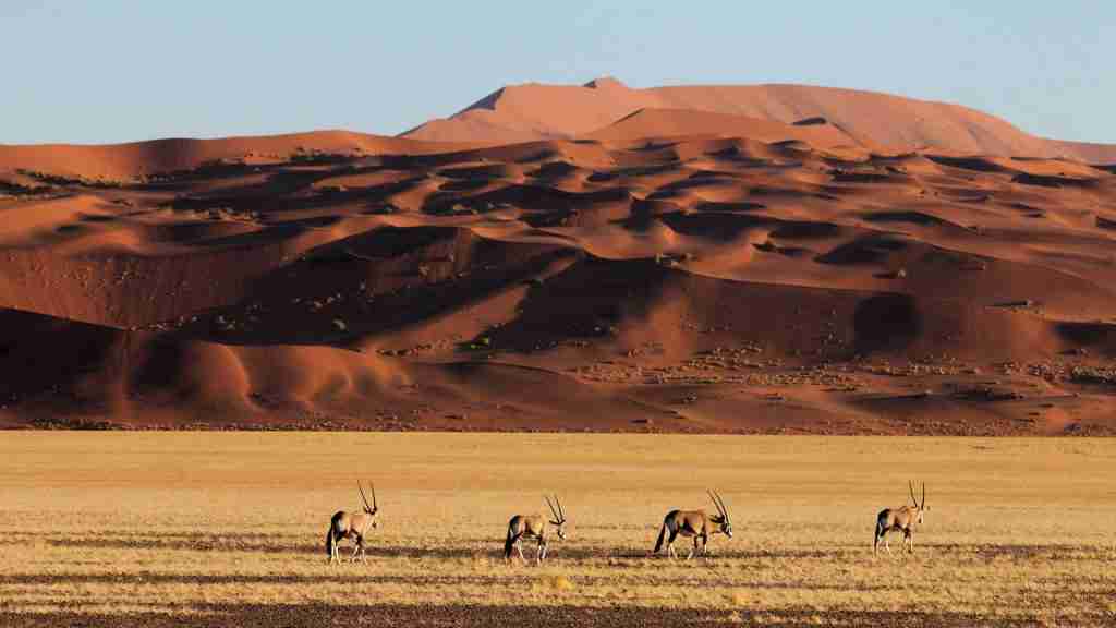 Sossusvlei Namibia