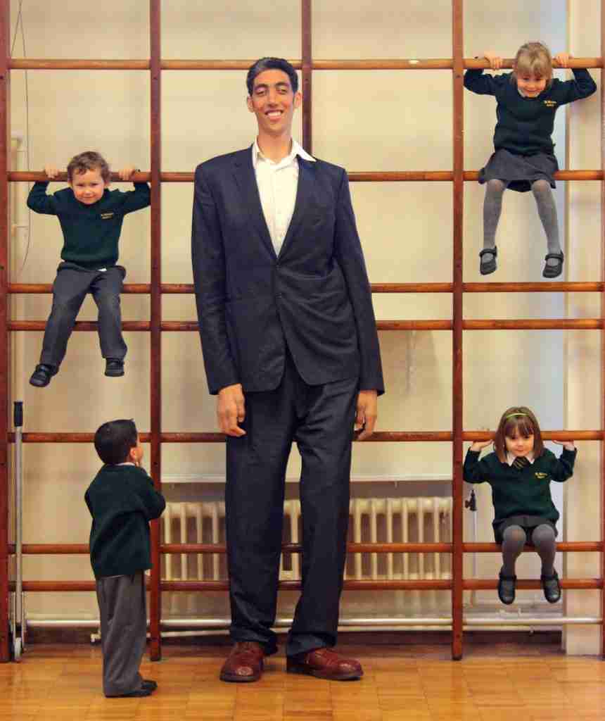 World's Tallest Man 2024 Koren Joelie