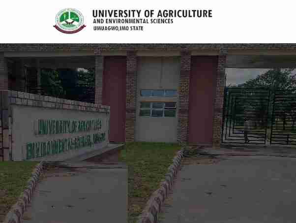 UAES Post UTME Form