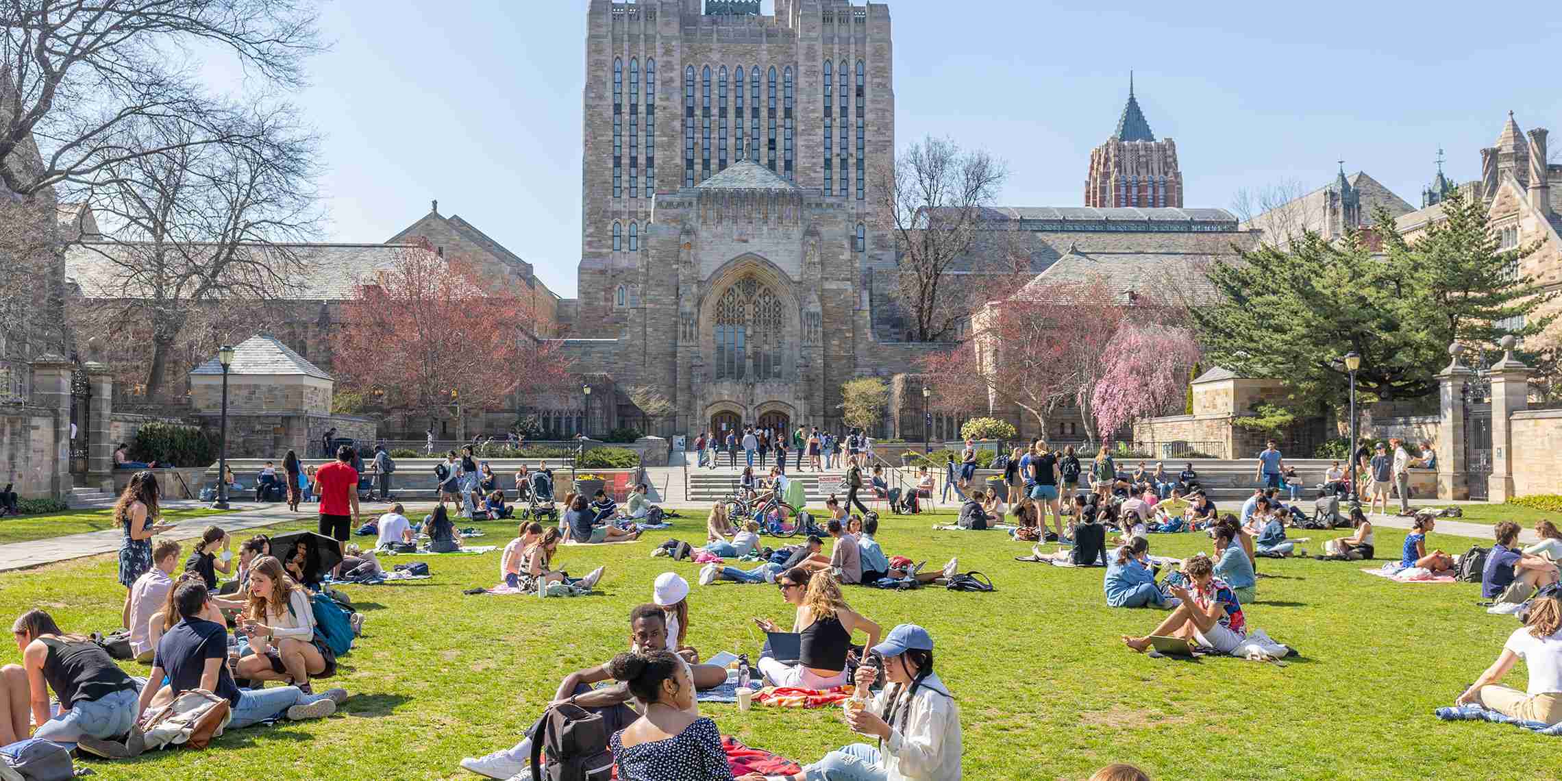 Yale University Location, History, Facts and Life Style