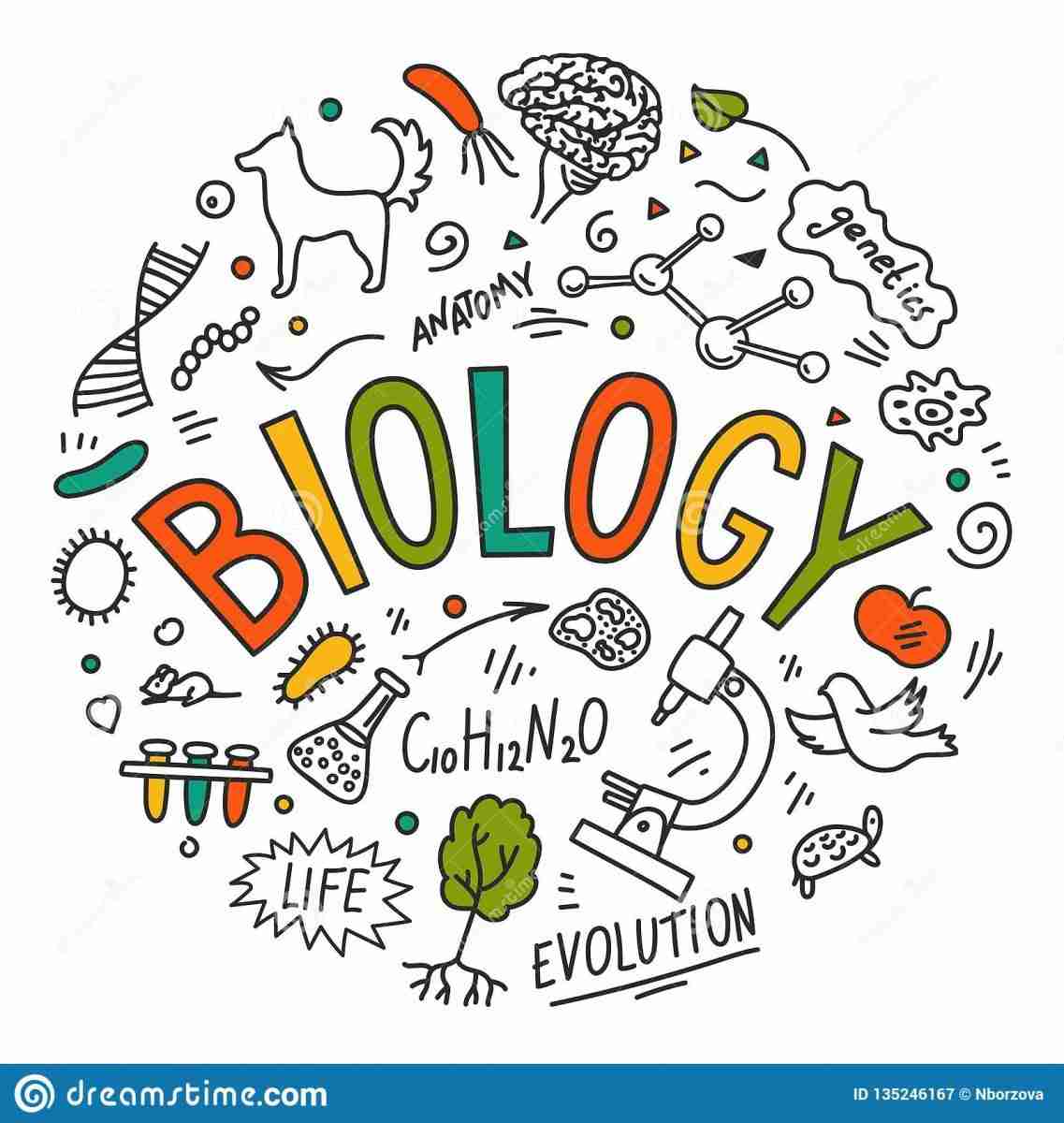 biology hand drawn doodles lettering education science vector white background 135246167 scaled