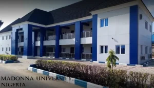 competitive Courses offered in madonna university