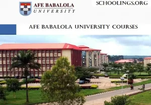 list of competitive courses offered in ABUAD 1
