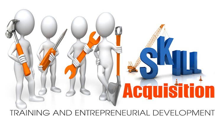 skills acquisition Nigeria